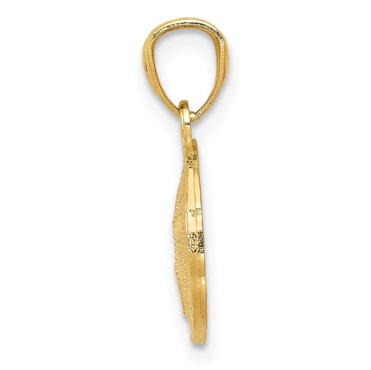 14K Yellow Gold Solid Polished Textured Finish Sea Sand Dollar Pendant