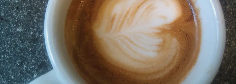 9 Dub Espresso | Dam Loop Espresso Bundle