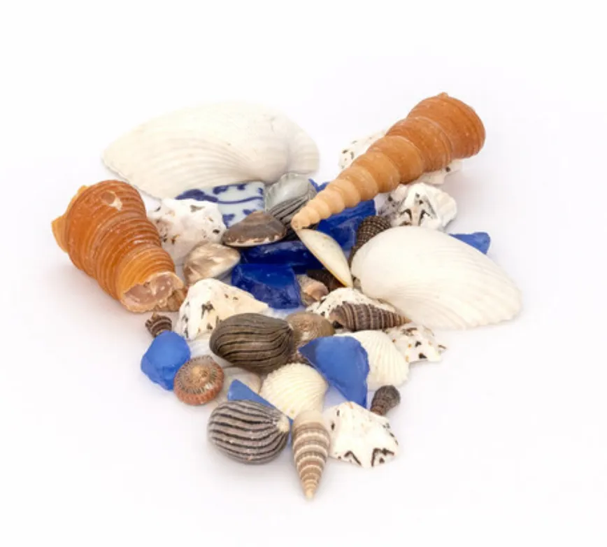 A Day at the Beach Sand Art Kit