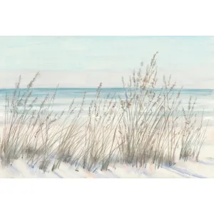 Beach Grass II Beachcrest Home™ Size: 24" H x 36" W x 1.25" D Format: Maple Single Picture Framed, Mat Included: No