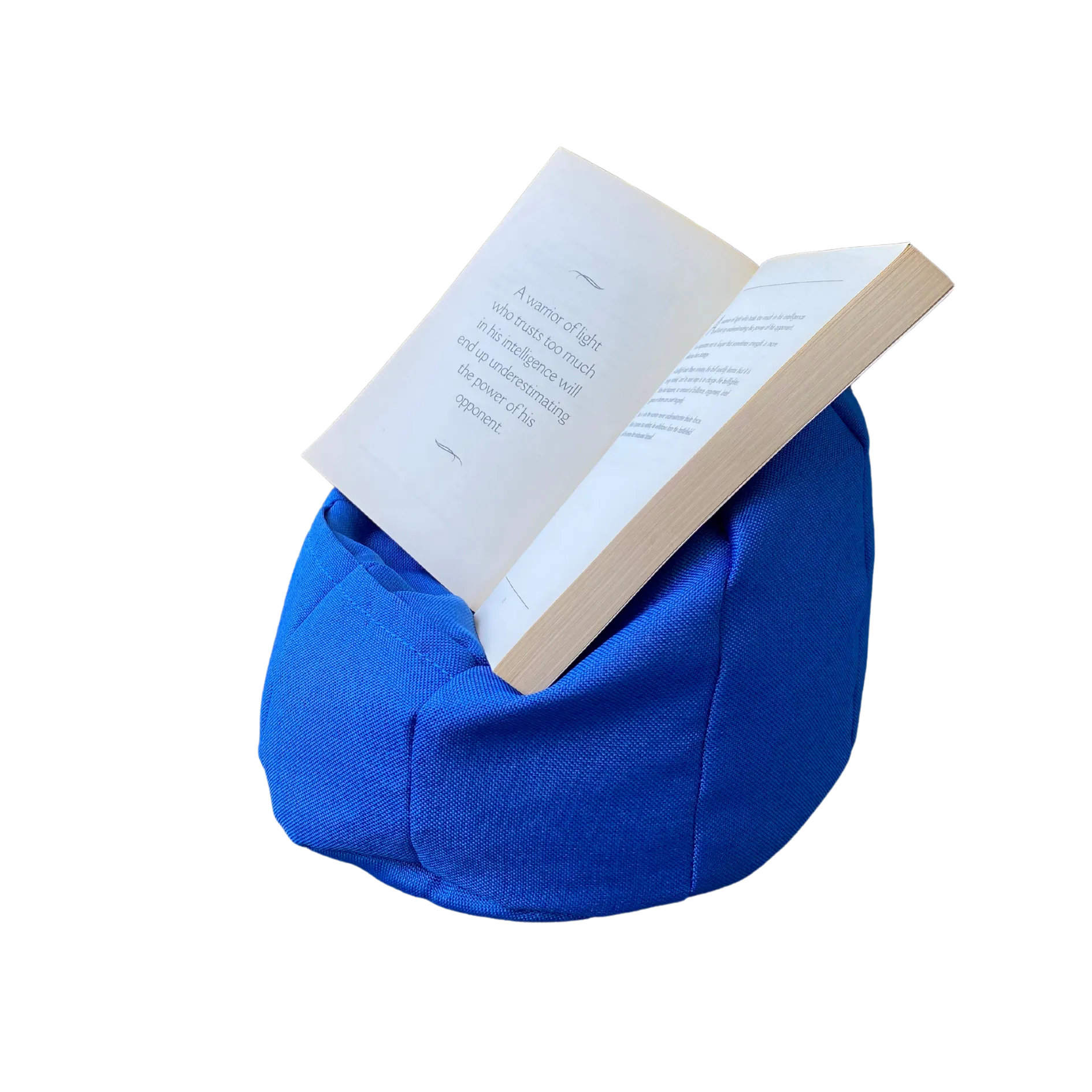 Bean Bag Book Holder Tropical Blue