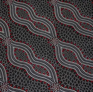 Bush Spinifex In Black