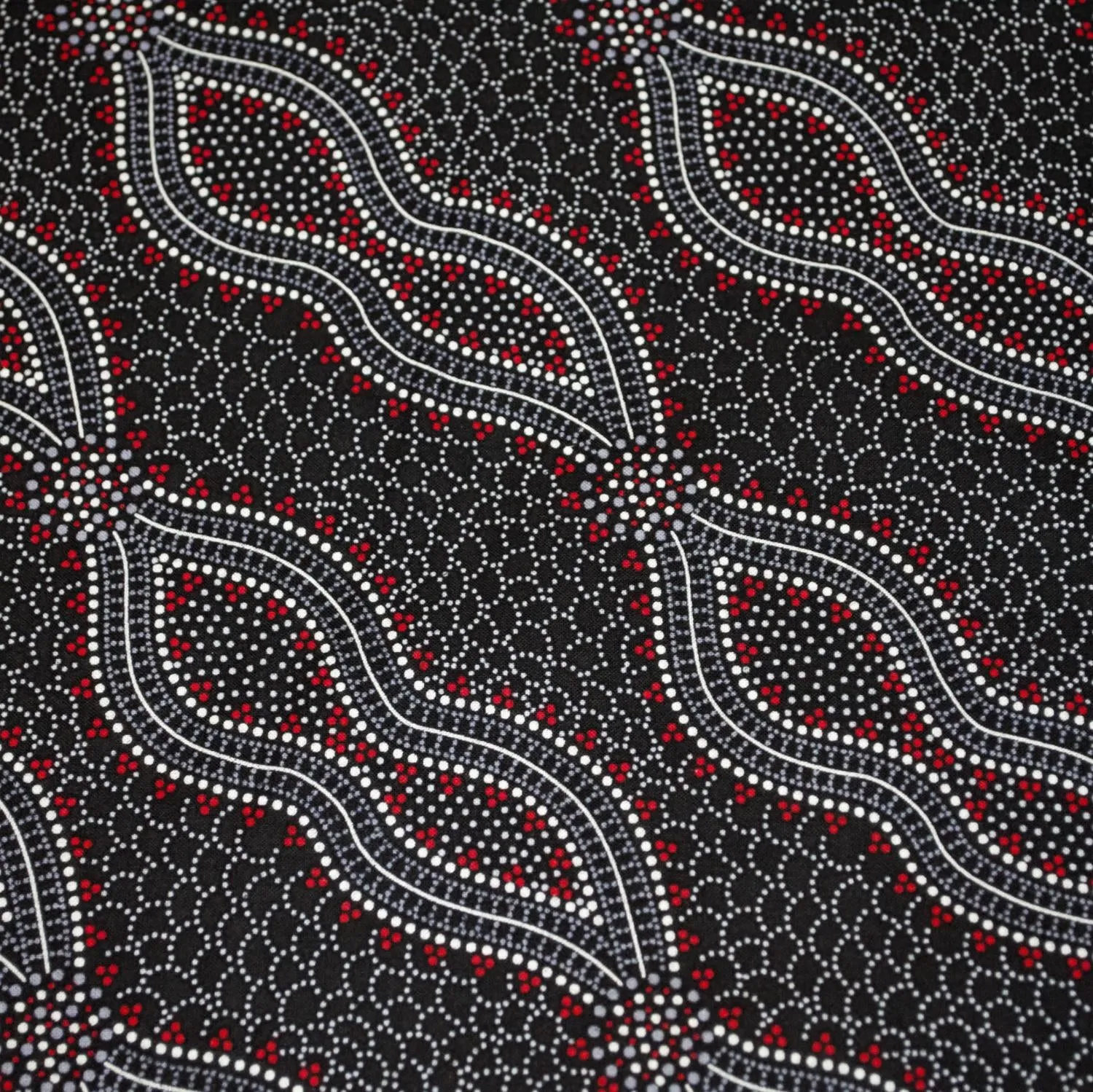 Bush Spinifex In Black