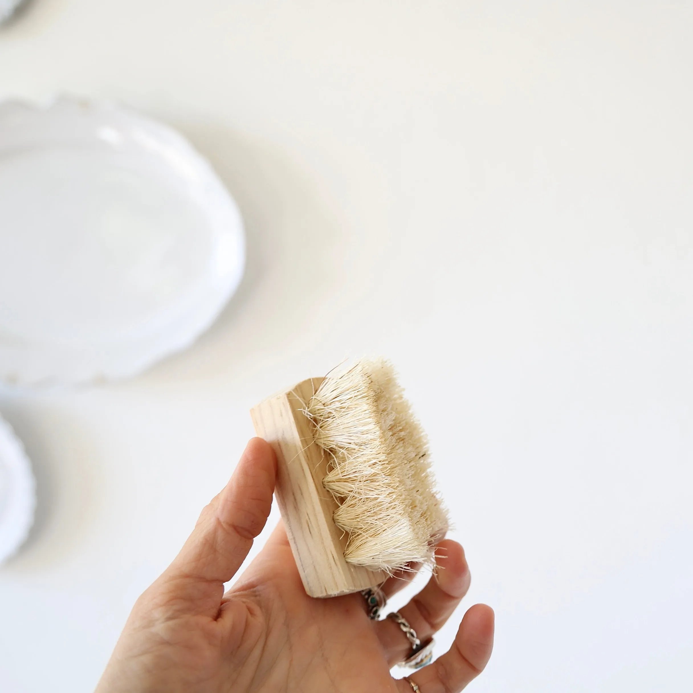Cleaning Brushes - 3 Sizes