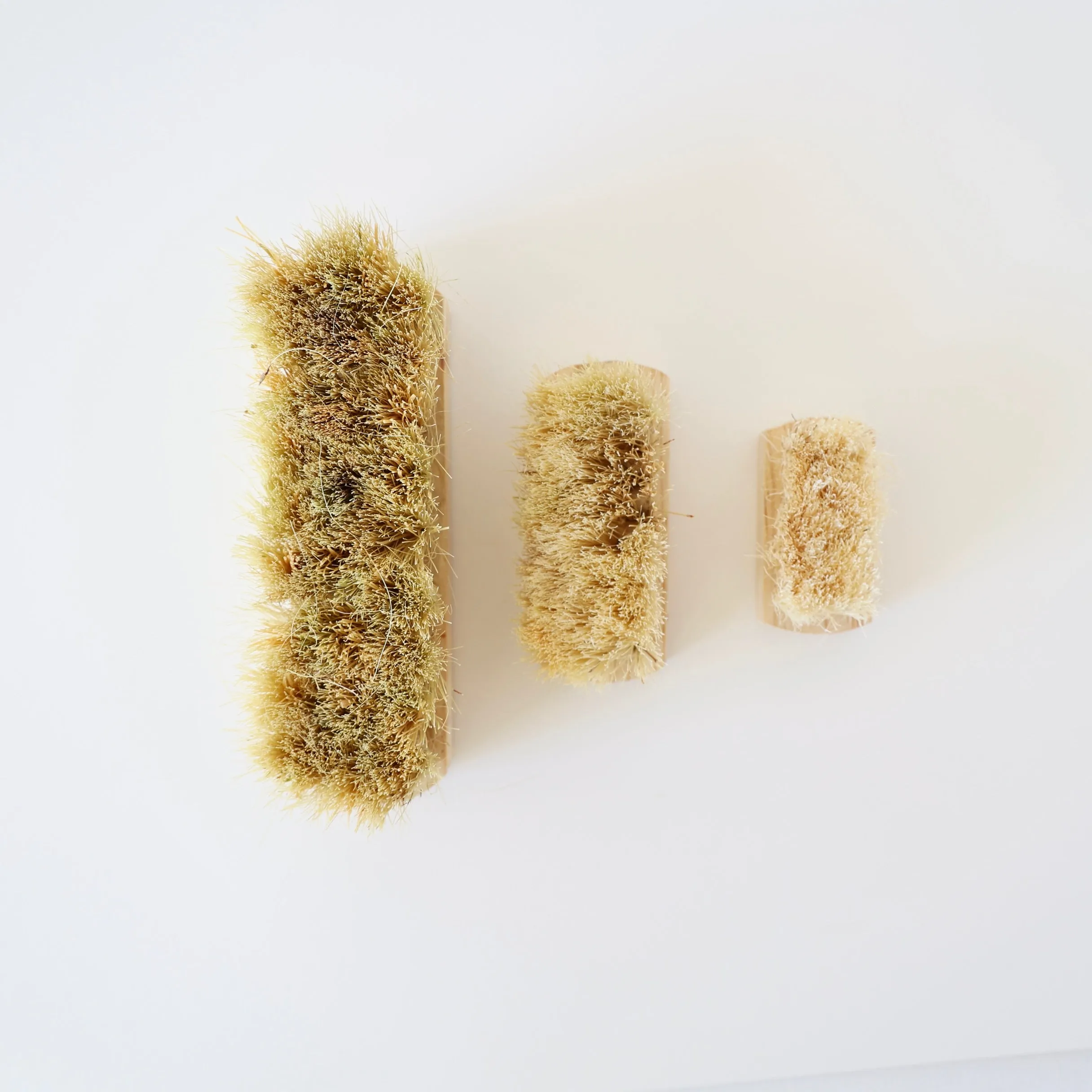Cleaning Brushes - 3 Sizes