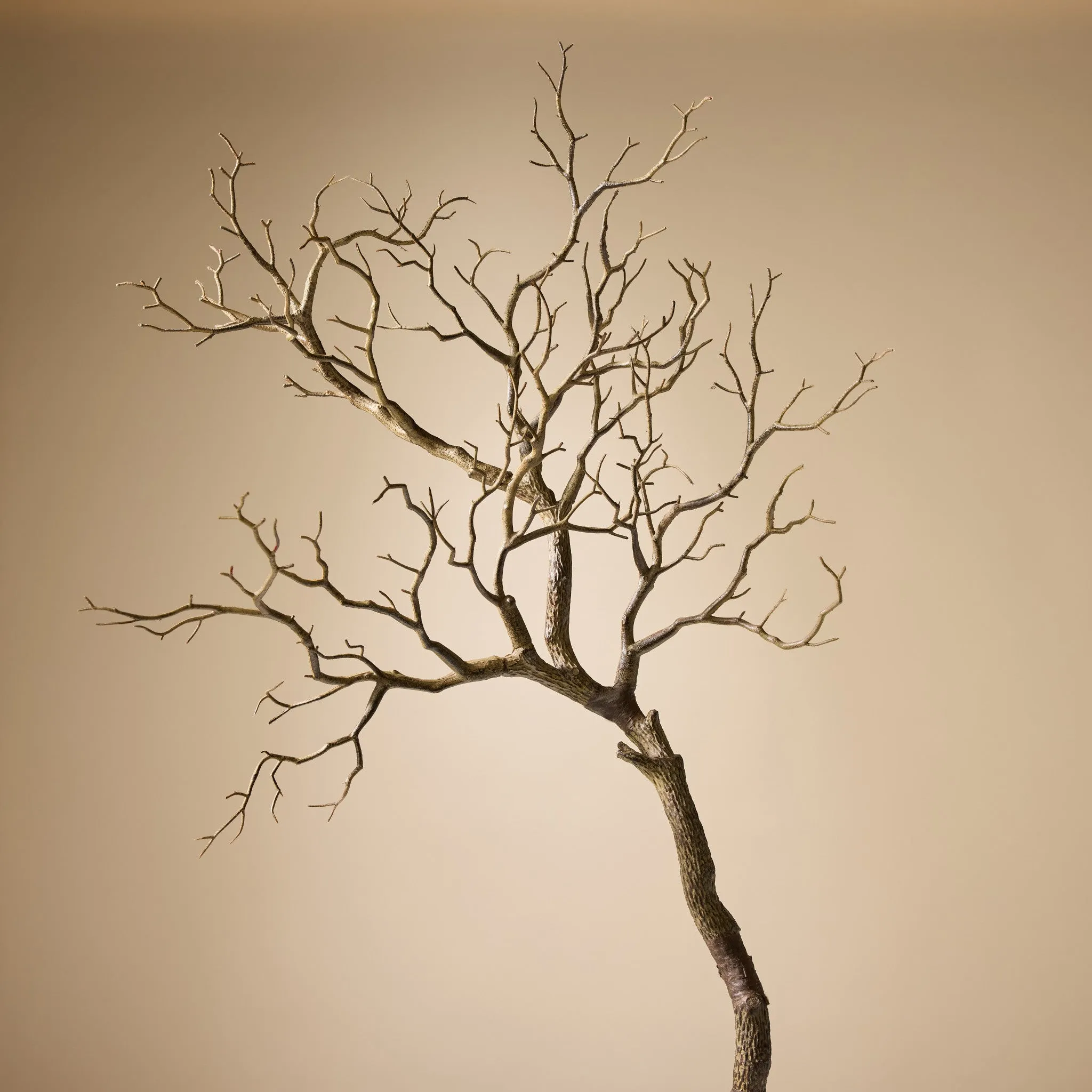 Faux Single Try Branch | 81cm