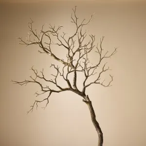 Faux Single Try Branch | 81cm