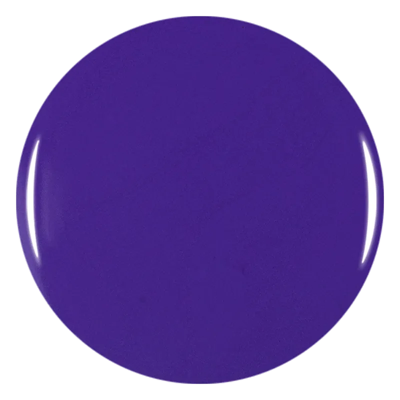 Nail Art Gel - Purple