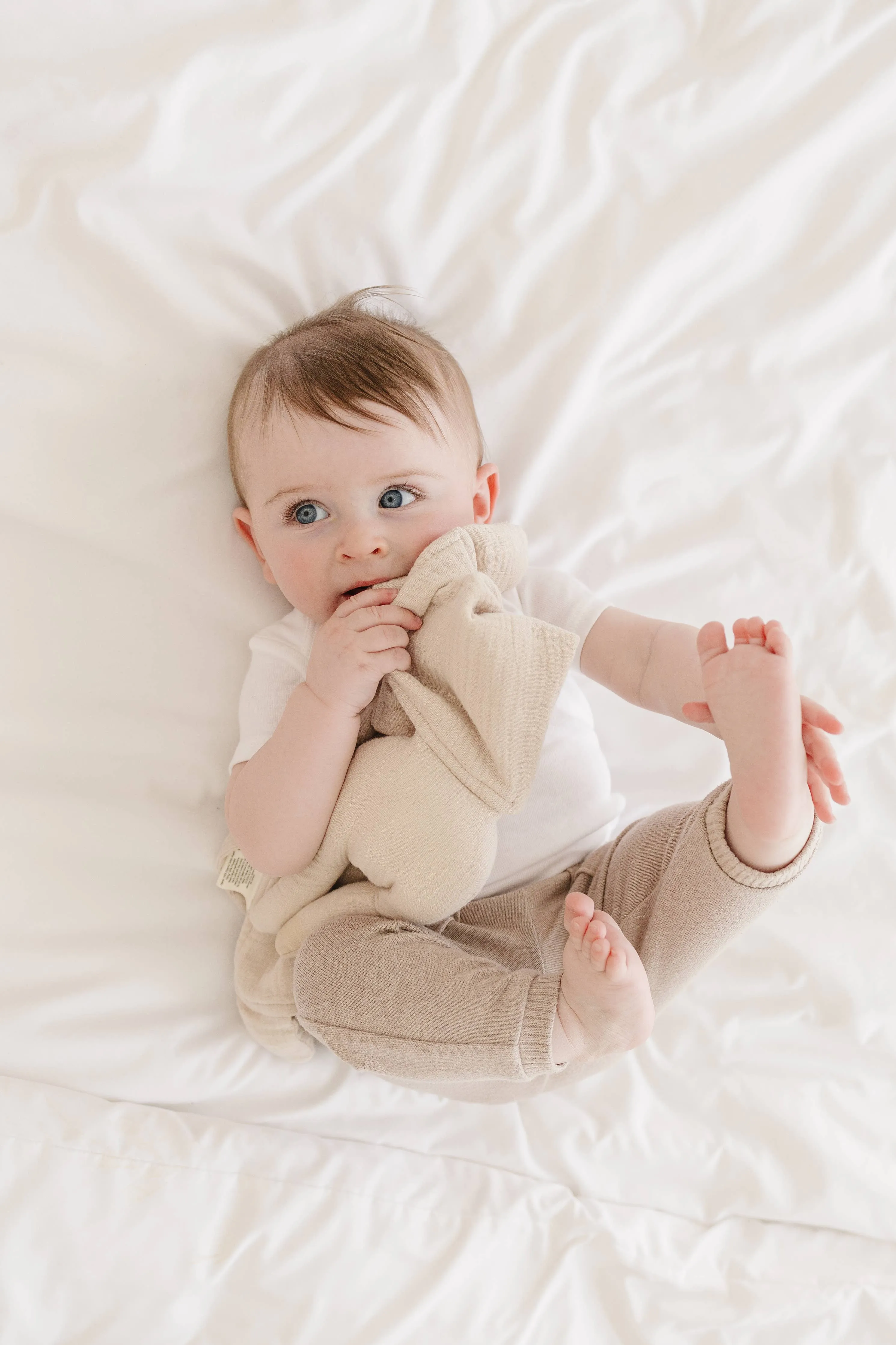Organic Cotton Bunny Lovey Blanket