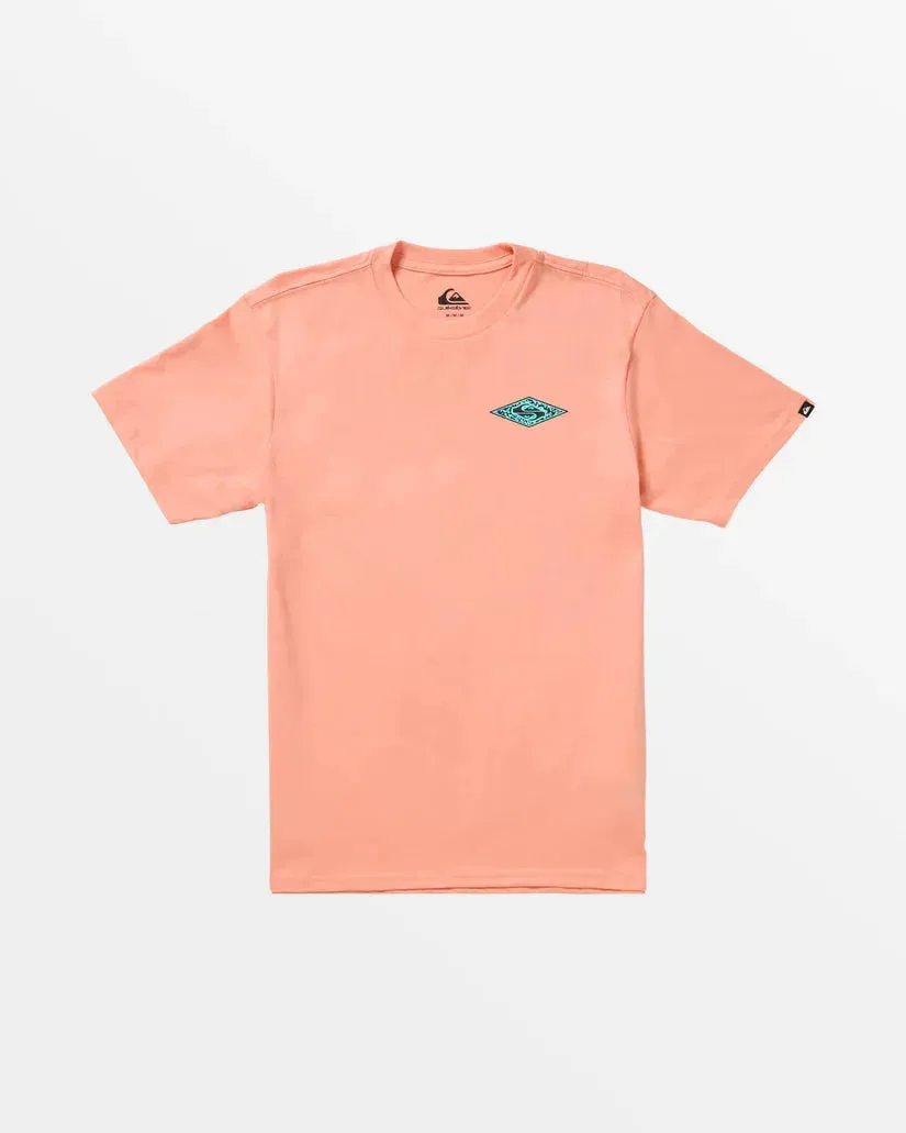 Quiksilver Men's Fossilized Tee