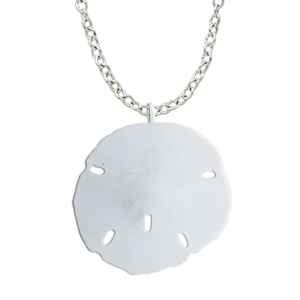 Sand Dollar Natural