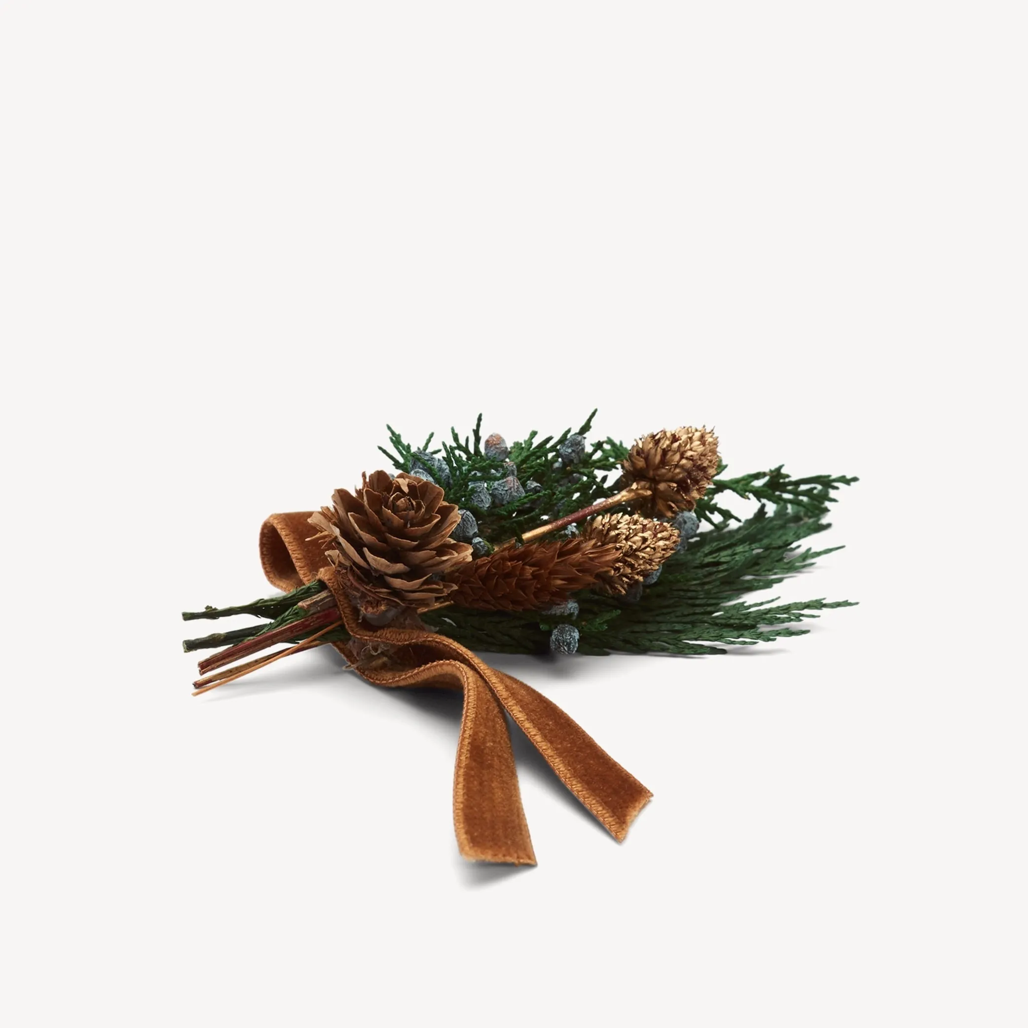 Seasonal Foliage