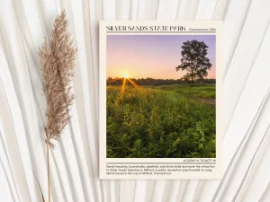 Silver Sand State Park Wall Art Canvas, USA