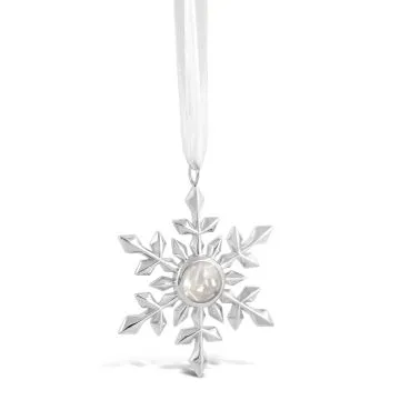 Snowflake Ornament 2022 Edition