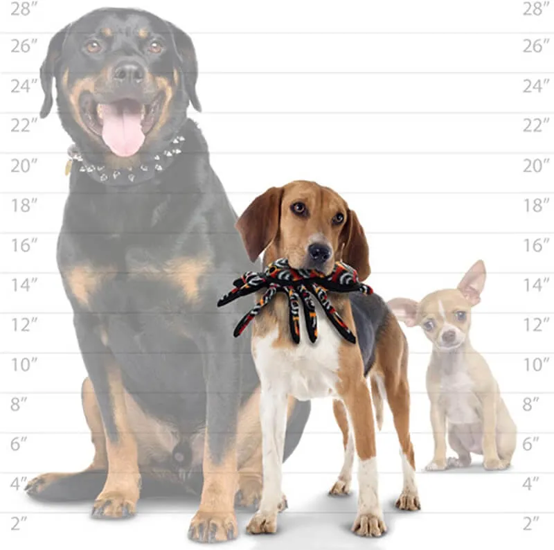 Tuffy Desert Series Tarantula