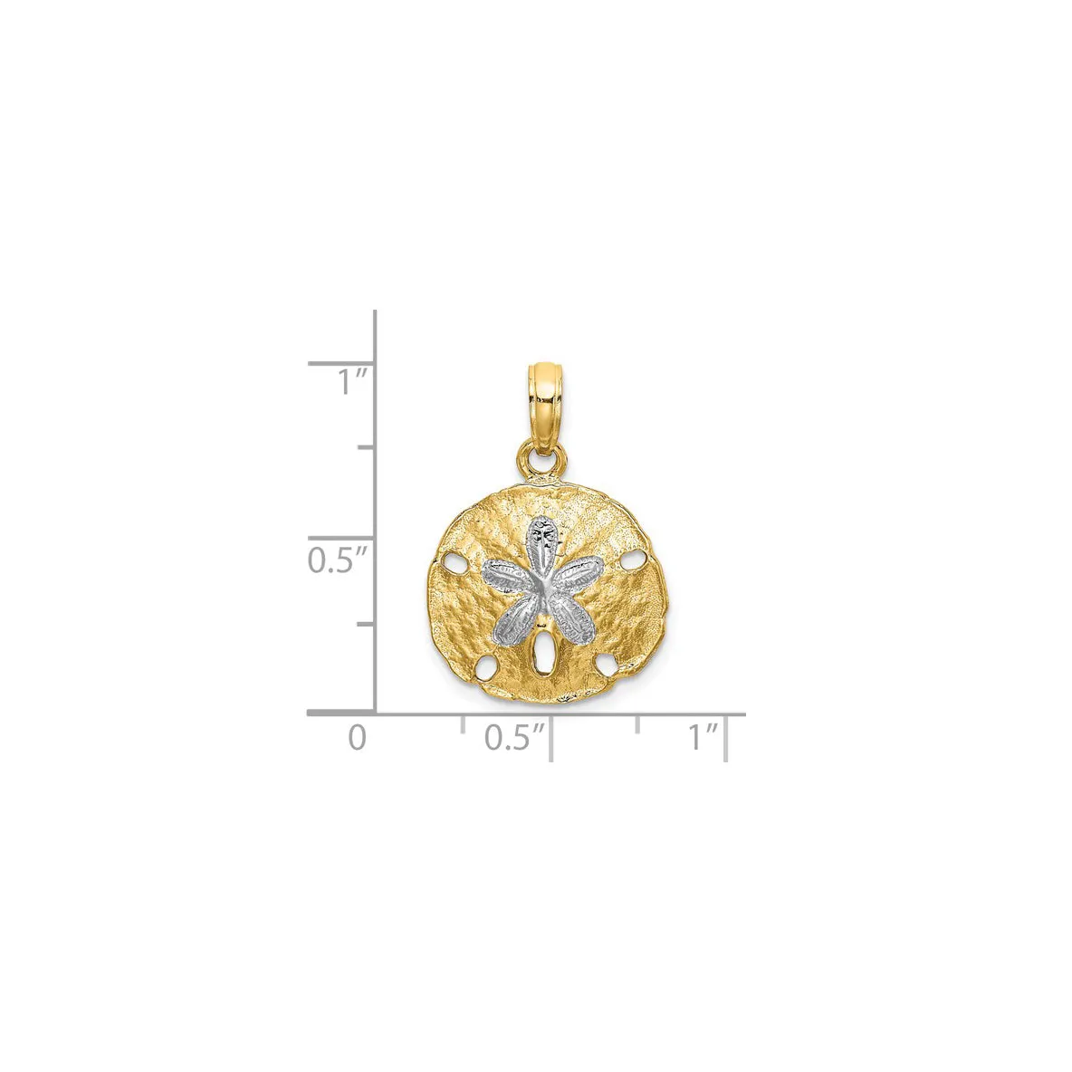 Two Tone Sand Dollar Pendant (14K)