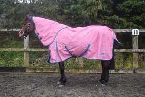 Whitaker Turnout Rug Balby 100 Gm