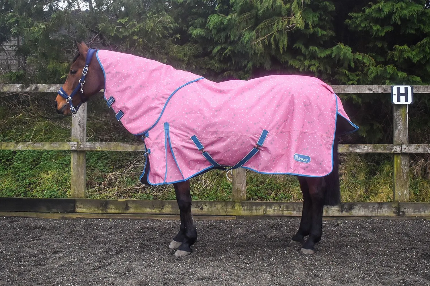 Whitaker Turnout Rug Balby 100 Gm