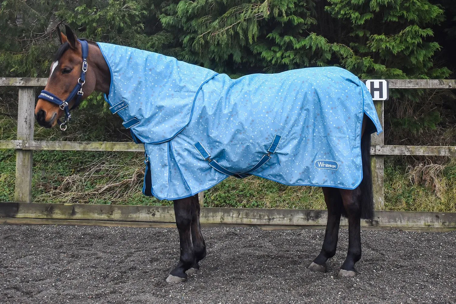 Whitaker Turnout Rug Balby 100 Gm